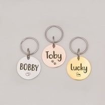 Anavia Stainless Steel Double Sided Round Name and Icon Engraved Dog & Cat ID Tag, Multi-color, M