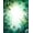 Green, Pattern 1, variant on ODIKA 8'x10' Machine Washable Non-Slip Area Rug, Sage Blossom Printed Pile High Traffic Rug, White, 84970