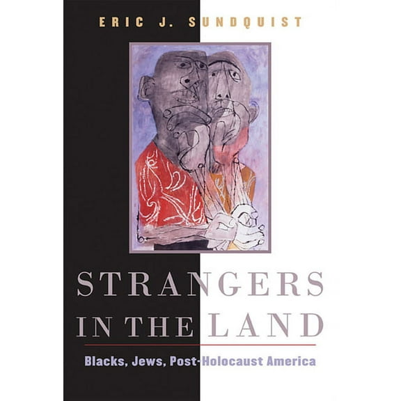 Strangers in the Land: Blacks, Jews, Post-Holocaust America (Paperback)