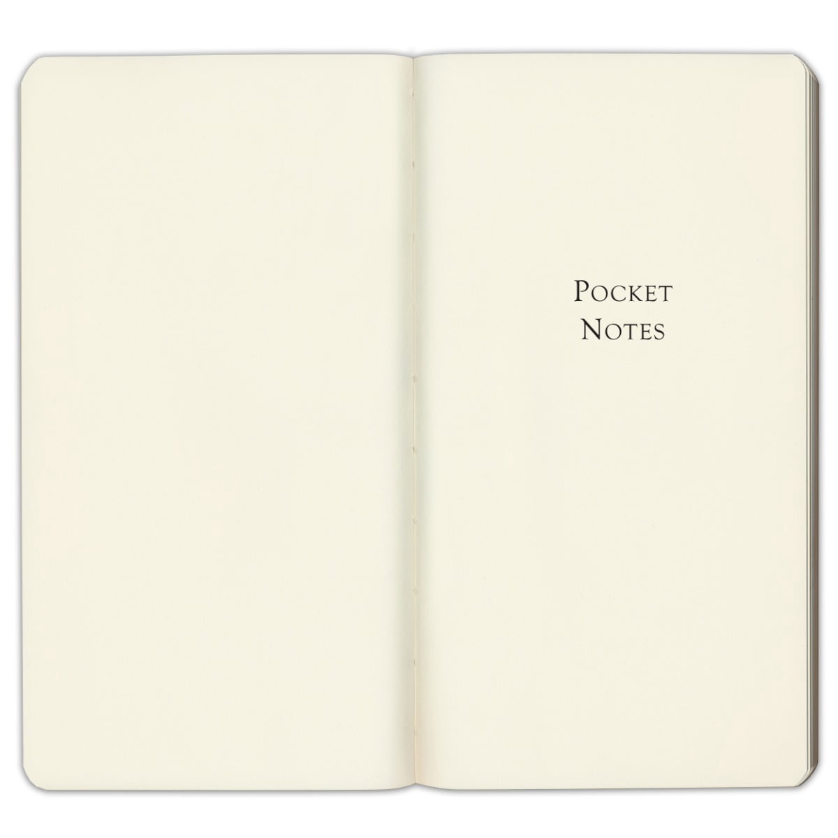 Gallery Leather Pocket Notes  Journal - Acadia Black - 6"x3.25"