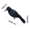 thumbnail image 3 of Realistic Black Crow Decoration for Halloween, Lifelike Feathered Bird Prop for Indoor Outdoor Party Decor, Scary Yard Ornament, 11 Inch, 3 of 5