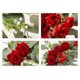 thumbnail image 5 of Injueey 2 uds. Colgantes de flores artificiales Swag Rose y Gypsophila rústicos para boda Kits de decoración para fiestas Rosa roja grande 60x35cm, 5 of 6