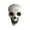 A, variant on VAIFTILNO Halloween Decorations, Plastic Skull Decor Statue, 5in Unlit Skeleton Head for Party, Home, Gothic Decor