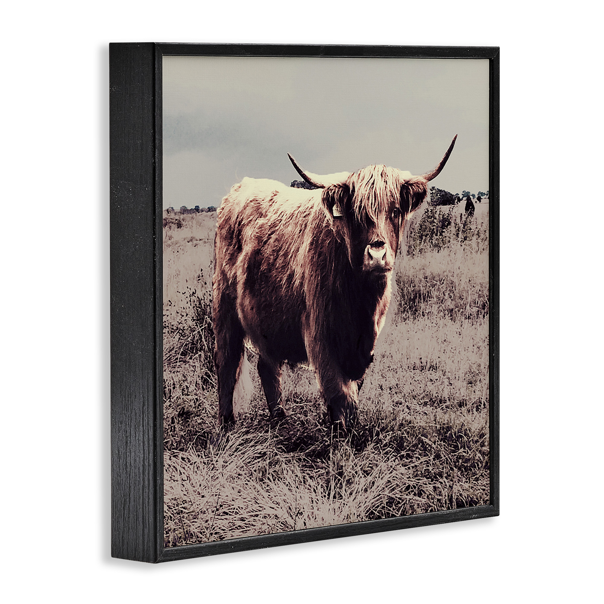 Stupell Industries Farm Cattle Rustic Vintage Styling Animals & Insects Painting Black Framed Art Print Wall Art, 24 x 24