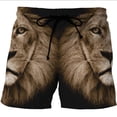 thumbnail image 4 of Trajes de baño para hombre Fire Tiger/Lion 3D Surf Board Shorts Niños Beach Shorts Hombres Trunks Traje de baño Masculino Pantalones deportivos Briefs Niño, 4 of 5