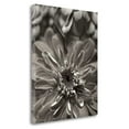 thumbnail image 1 of Tangletown Fine Art 'Florison - 17' Graphic Art Print on Wrapped Canvas, 1 of 3