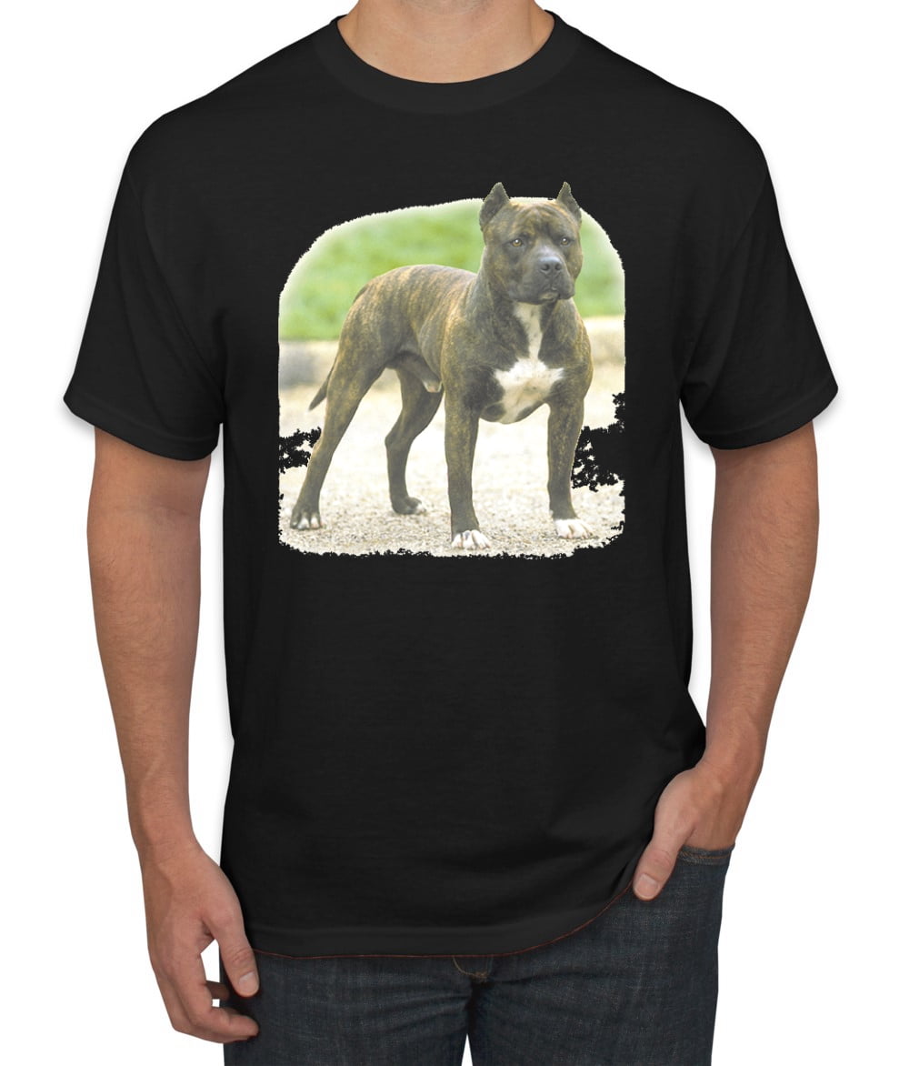 Wild Bobby, Pitbull Dog Animal Pet 