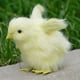 thumbnail image 2 of Peluche HUOGUO Chirpy Chick Easter Chick 9 cm, 2 of 4