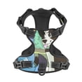 thumbnail image 4 of Lsque Bluey Dog Harness, No-Pull Pet Harness with 2 Leash Clips, Adjustable Soft Padded Dog Vest with Easy Control Handle for Large Dogs-, 4 of 9