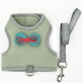 thumbnail image 6 of Yesbay  Pet Rabbit Leash Adjustable Small Pet Harness And Leash with Bow Decoration for Rabbit Cat Ferrets, 6 of 9