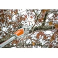 thumbnail image 3 of Stihl Hta 50 36V Battery Powered Extended-Reach Pole Pruner (Bare Tool), 3 of 4