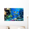 thumbnail image 1 of Coral Colony and Coral Wall Decal by Wallmonkeys Peel and Stick Graphic (24 in W x 16 in H) WM32550, 1 of 4