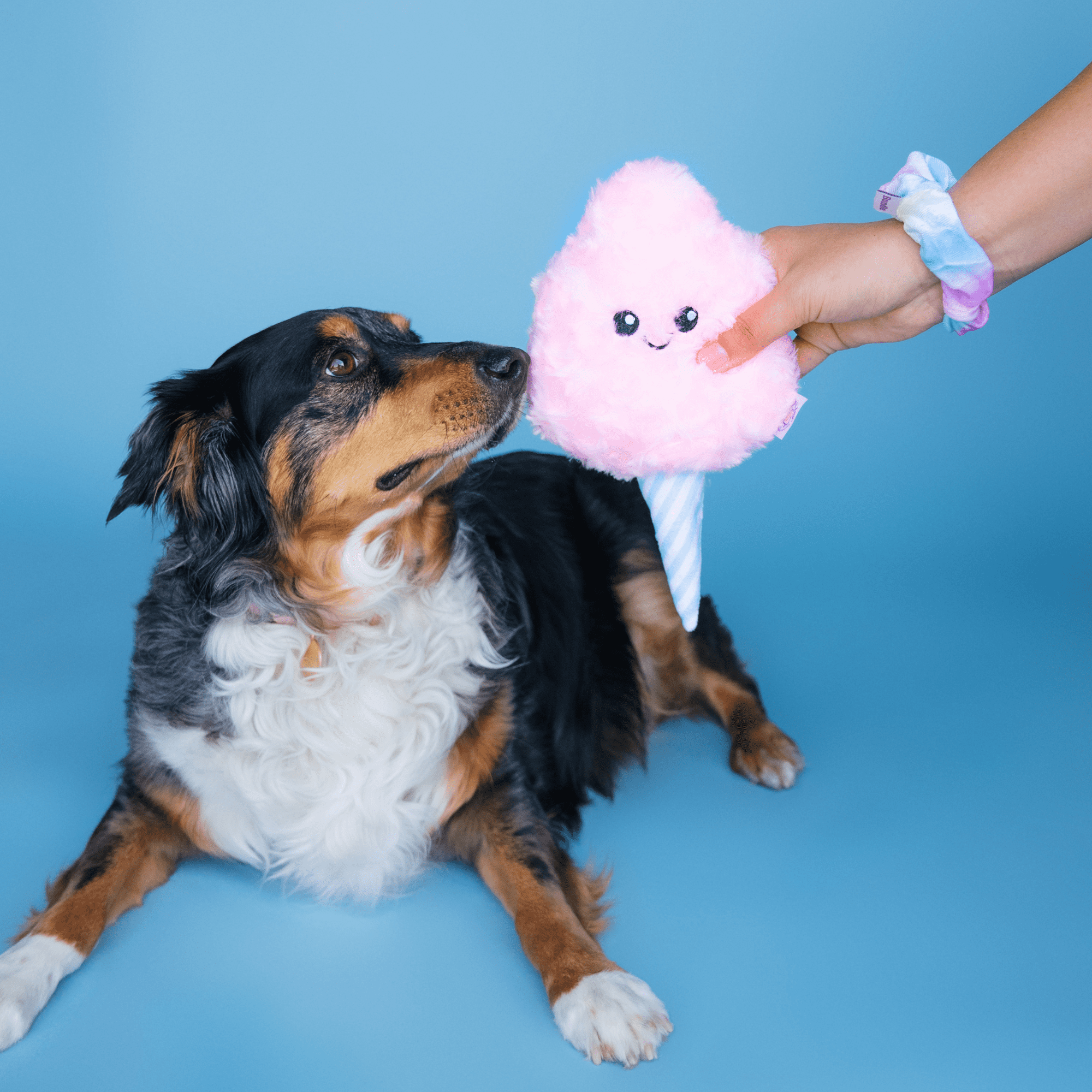 Bundle x Joy Cotton Candy Plush for Dogs with Squeaker, Crinkle & Softness for Added Joy