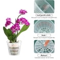 thumbnail image 6 of SharkTRUE Clear Orchid Pot,Plastic Plant Pots with Drainage Hole and Tray,Breathable Flower Plant Pot,Nursery Container for Root Growth, Seedling, and Indoor Houseplant Gardening, 6 of 10