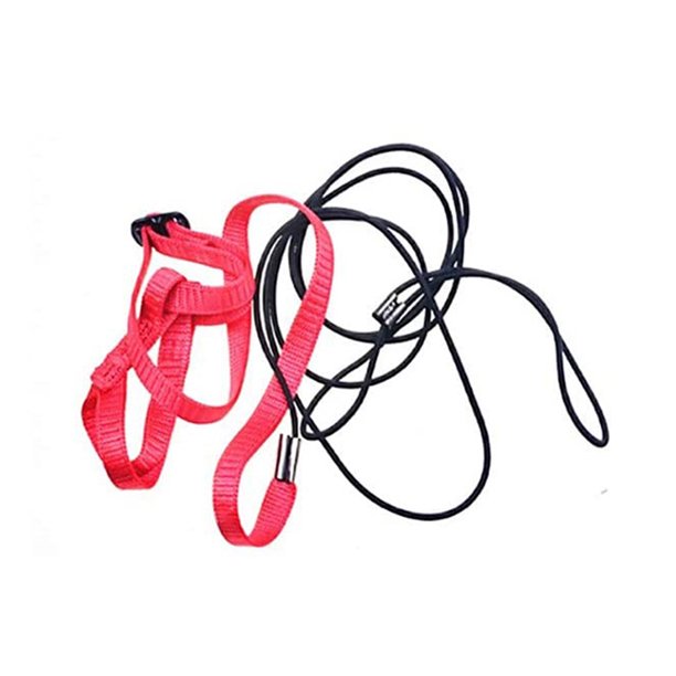 Greeniant Correa para mascotas, arnés de nailon para animales voladores, correa para caminar en el patio al aire libre, entrenamiento ajustable, Aseo de mascotas XS Greeniant PT004080-01