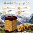 thumbnail image 4 of Sino-Sci Cordyceps 3G Capsule, Energy Booster & Immune Support, Pure Cordyceps 12X Extract, 40 Caps, 4 of 5