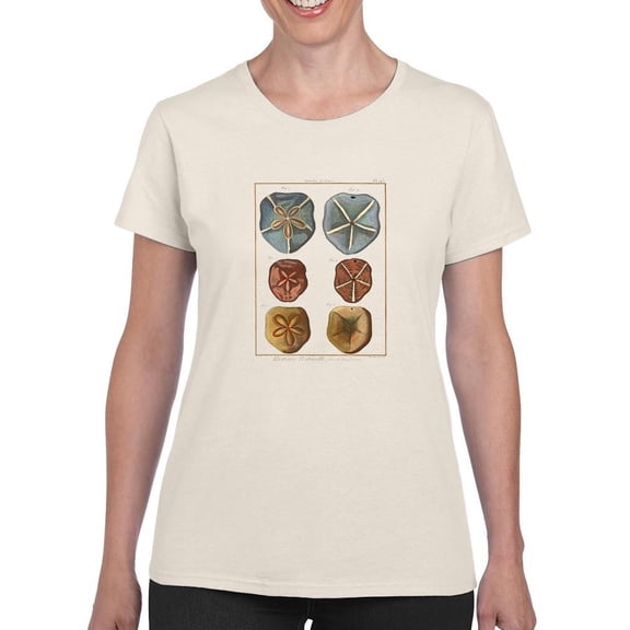 Sand Dollars I T-Shirt Women -Denis Diderot Designs, Female Small