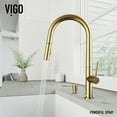 thumbnail image 2 of Vigo Vg02029k2 Greenwich 1.8 GPM 18" H Single Handle Single Hole Pre-Rinse Pull Down, 2 of 10
