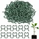 thumbnail image 4 of Plastic Garden Vine Strapping Clips Set for Tomato and Grapevine Plant Support, 4 of 5