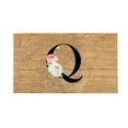 thumbnail image 1 of adviicd Personalized Alphabet Doormat For Welcoming Guests At Your Doorstep 1PC, 1 of 4