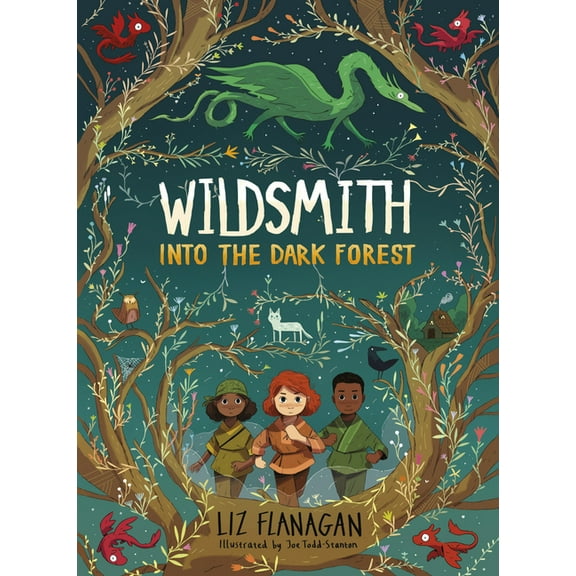 Wildsmith Into the Dark Forest, (Paperback)