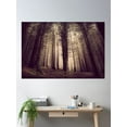 thumbnail image 2 of Eerie Forest Poster Wall Art, Modern Wall Decor, 12x18 UNFRAMED, 2 of 3