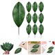 thumbnail image 4 of KAKOWELY 10 piezas de hojas verdes artificiales de magnolia para decoración de arreglos florales., 4 of 4