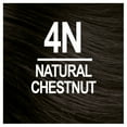 thumbnail image 2 of Naturtint 4N Natural Chestnut Men's Permanent Hair Color, 2 of 7