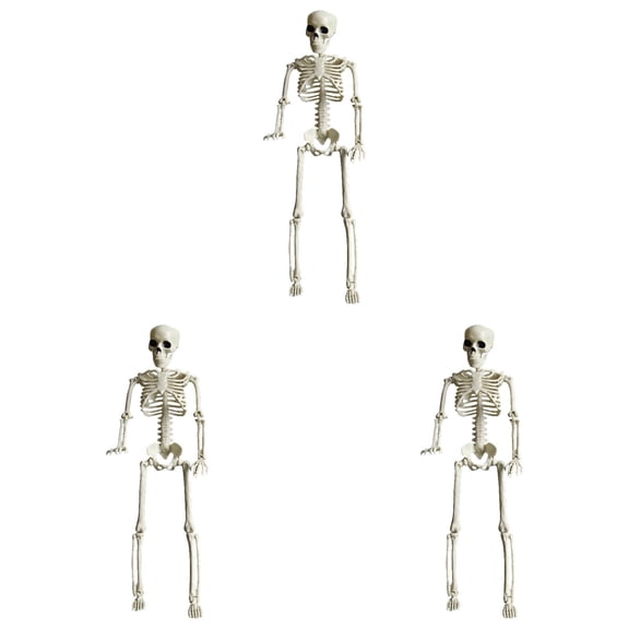 15.7" Life Size Posable Halloween Skeleton Full Body with Movable Joints, Realistic Human Bones Model for Outdoor Yard Haunted House Decor, Adjustable Articulated Prop for Party Display 3PC