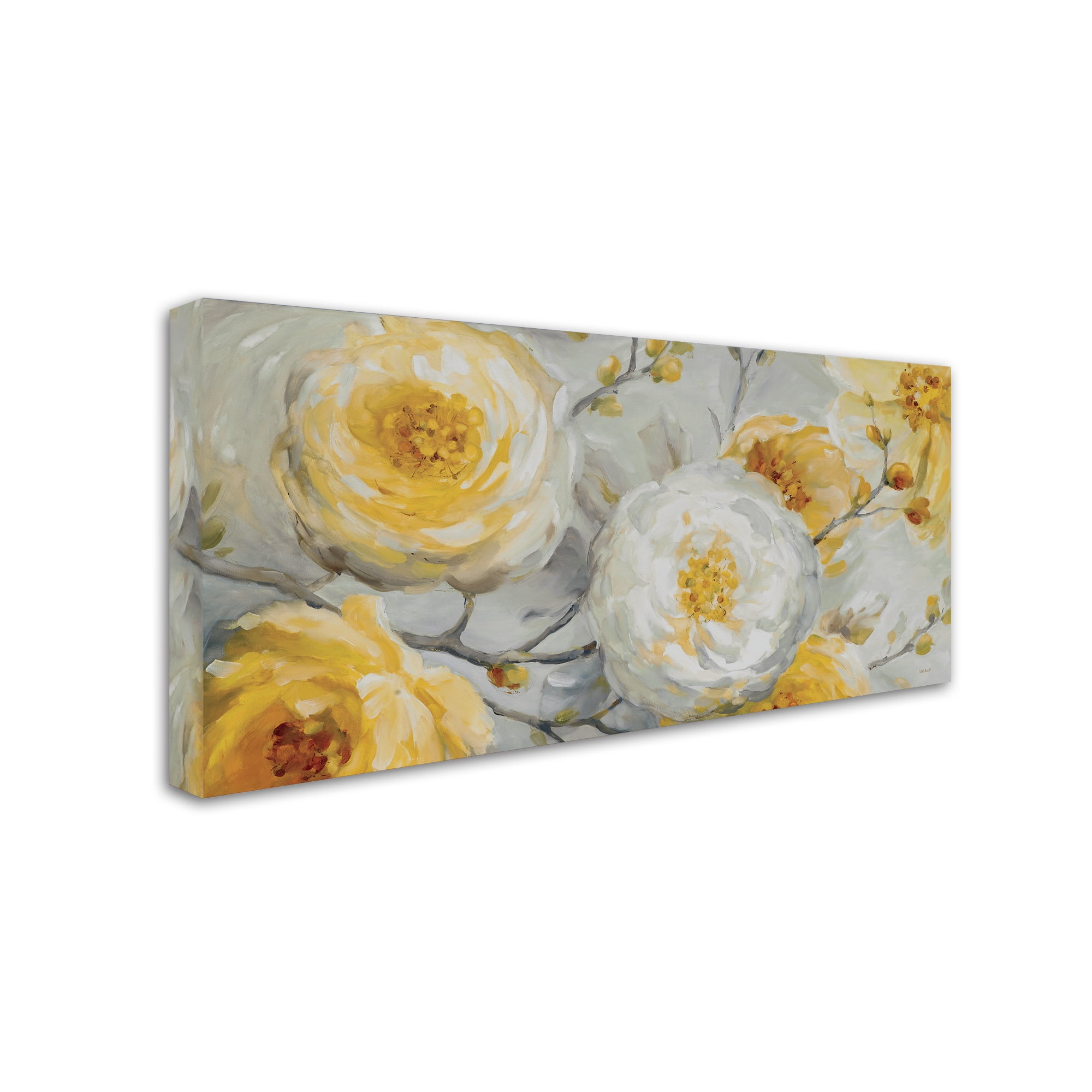 Trademark Fine Art 24x47 Floral Canvas Wall Art 'Sunshine' by Lisa Audit
