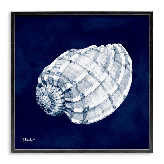 Stupell Industries Traditional Cyanotype Shells Coastal Illustration Black Framed Giclee Art, 12 x 12, by Paul Brent