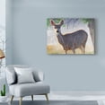 thumbnail image 3 of Trademark Fine Art 'Spring Doe' Canvas Art by Chris Vest, 3 of 4