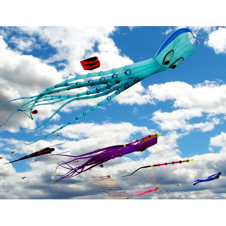 Canvas Print Colorful Summer Sky Wind Fly Kites Blue Fun Stretched Canvas 10 x (Best Low Wind Kite)