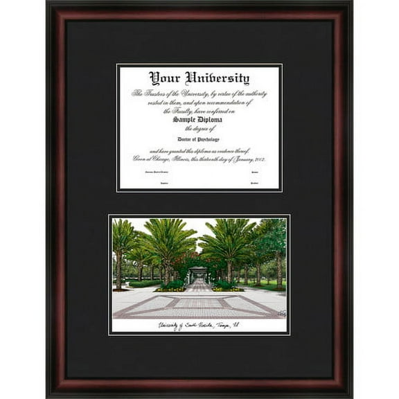 University of South Florida 8.5" x 11" Diplomate Diploma Frame