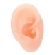 thumbnail image 1 of Modelo de oreja de silicona, simulación de oreja derecha humana Artificial, modelo de exhibición para uso de audífonos, 1 of 8