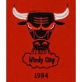 thumbnail image 5 of Chicago Basketball Bull's LARGE 22x14 Wall Hanging Logo Heritage Banner featuring logos from 1966, 1970, 1984 & 1985, 5 of 7