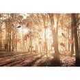 thumbnail image 3 of Deiter, Lori 18x13 Black Modern Framed Museum Art Print Titled - The Gift of Nature, 3 of 5