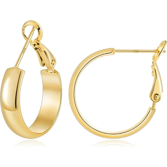 Gold Hoop Earrings For Women, 14K Real Gold Plated With 925 Sterling Silver Post, Hypoallergenic Lightweight Thick Gold Hoops Earrings For Women Trendy[Z5330]