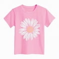 thumbnail image 4 of NOLDARES Girls/Kids/Toddlers Crew Neck Cotton T-Shirts Short Sleeve Summer Basic Tops（Age 2-12Y）(Pink,13-14 Years), 4 of 4