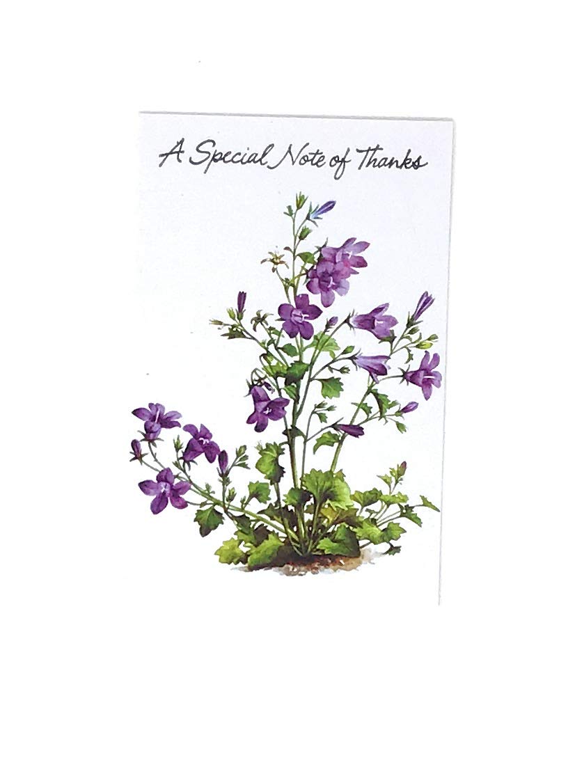 Thank You Card Set 40 Pieces, Gift Cards in Envelopes with 5 Designs in Vibrant Colors