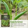 thumbnail image 3 of 3 Packs Emerald Okra Seeds - Non-GMO Heirloom Full Sun Annual Vegetable, 3 of 7