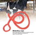 thumbnail image 1 of Nylon Material Midwifery Rope, Midwifery Rope Obstetric Rope, And Other Livestock Cow For Farm Cattle, 1 of 8