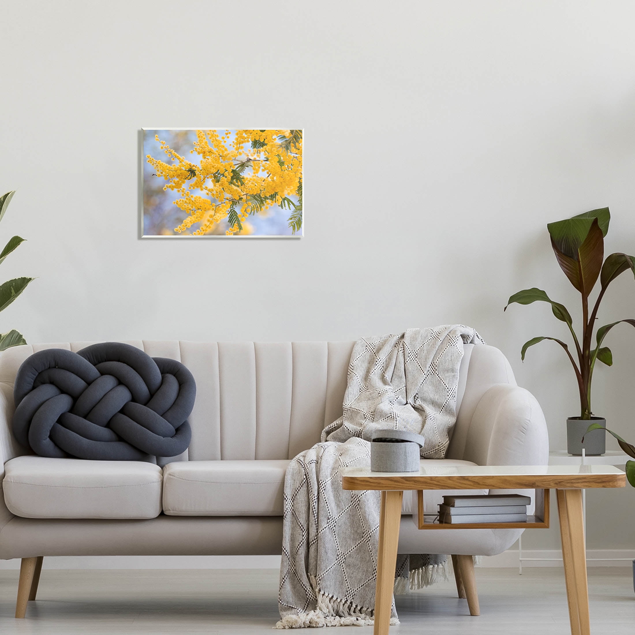 Yellow Mimosa Tree Flowers Nature Botanical & Floral Photograph Unframed Art Print Wall Art