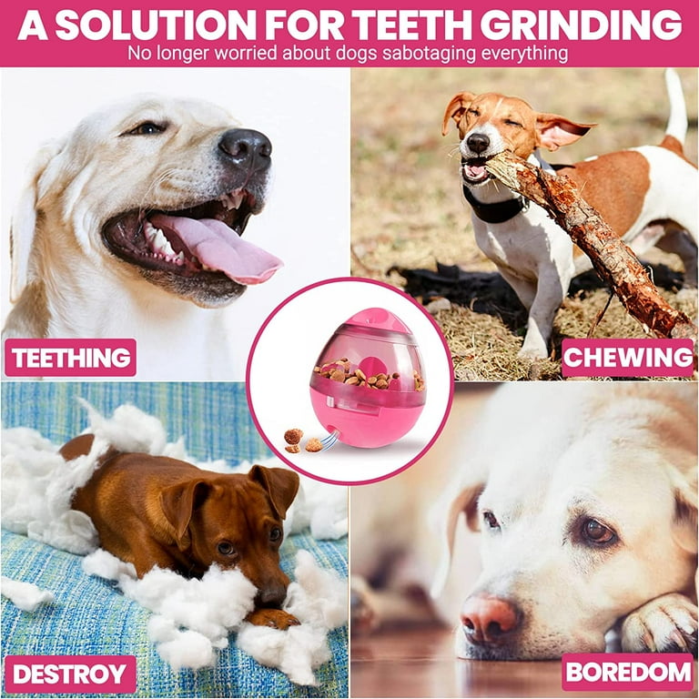 Slow feeder ball for dogs cheap