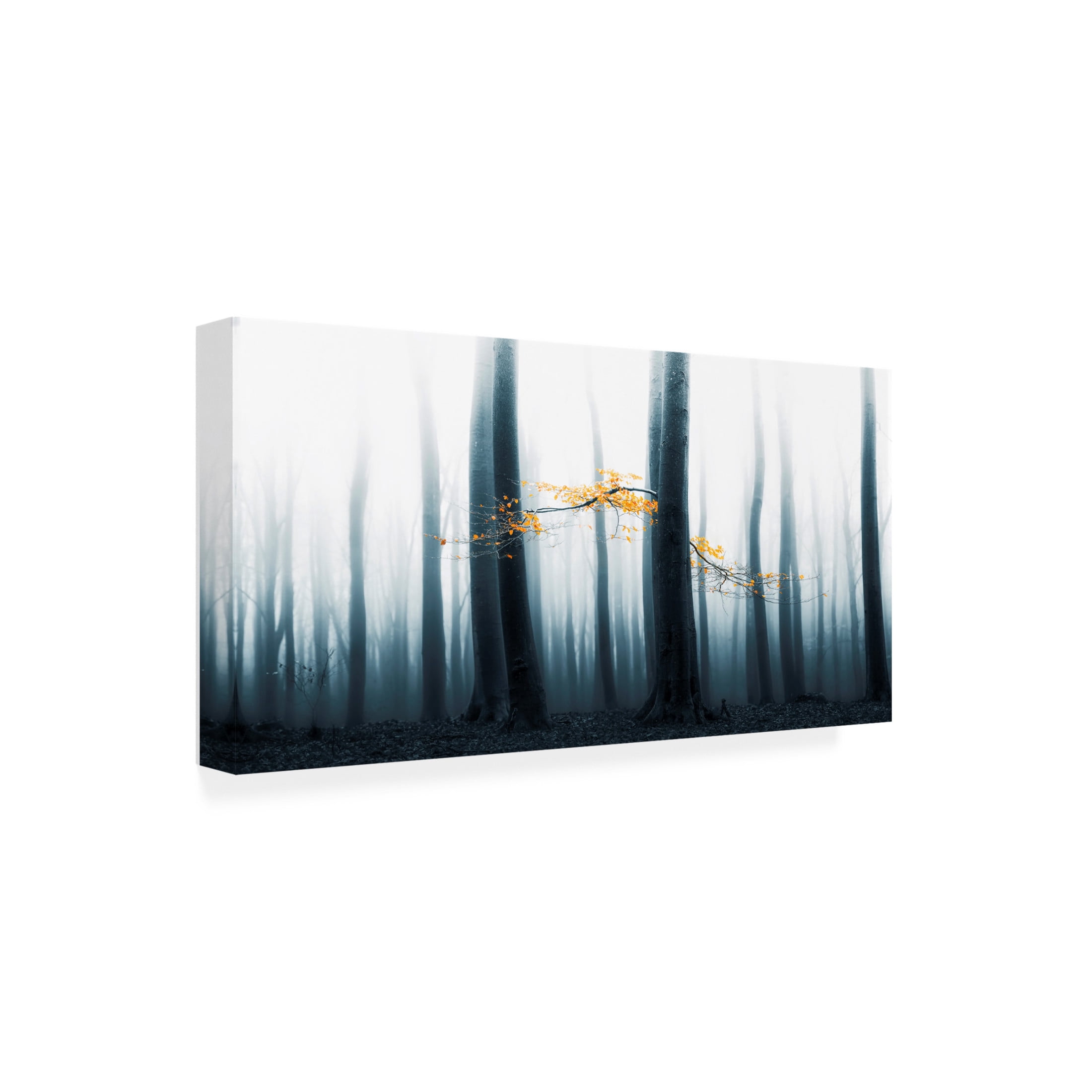 Canvas Wall Art - Lars van de 'Speulder Revisited' Wall Art for Living Room, Bedroom, or Office D?cor by Trademark Fine Art - 19 x 10 Inches