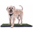thumbnail image 3 of Downtown Pet Supply Grass Pad for Dogs, Dog Pee Pads System, 16 x 20", 3 of 8