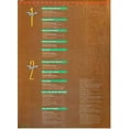 thumbnail image 5 of Skynyrd's Innyrds (Their Greatest Hits), 5 of 5