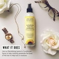 thumbnail image 4 of Jane Carter Solution Revitalizing Leave-In Conditioner Spray (8oz) - Moisturizing, Heat Protectant, Reduce Frizz, 4 of 7