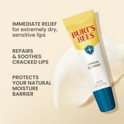 Burts Bees Rescue Lip Relief with Shea Butter and Echinacea, 100% Natural Origin, 2 Pack