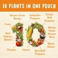 thumbnail image 3 of BEN'S ORIGINAL 10 MEDLEY Smoky Southwest Side Dish 8.5 oz Pouch (Pack of 2), 3 of 5